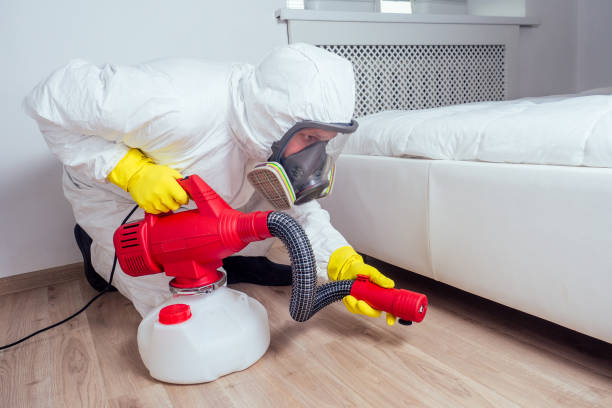 Best Bed Bug Extermination  in Mansura, LA